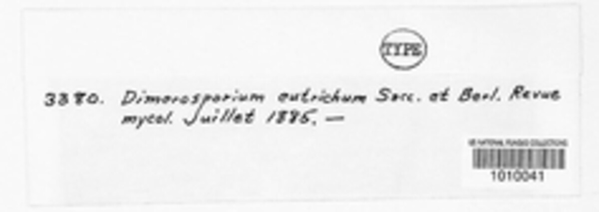 Dimerosporium eutrichum image